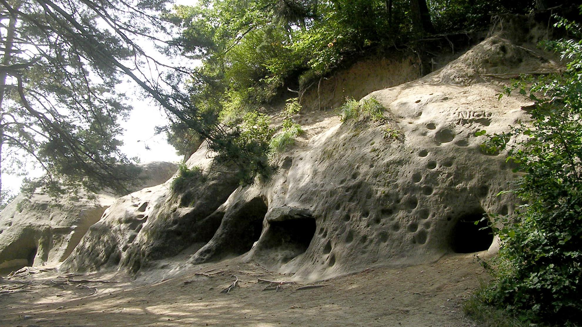 Grottes du mont vully